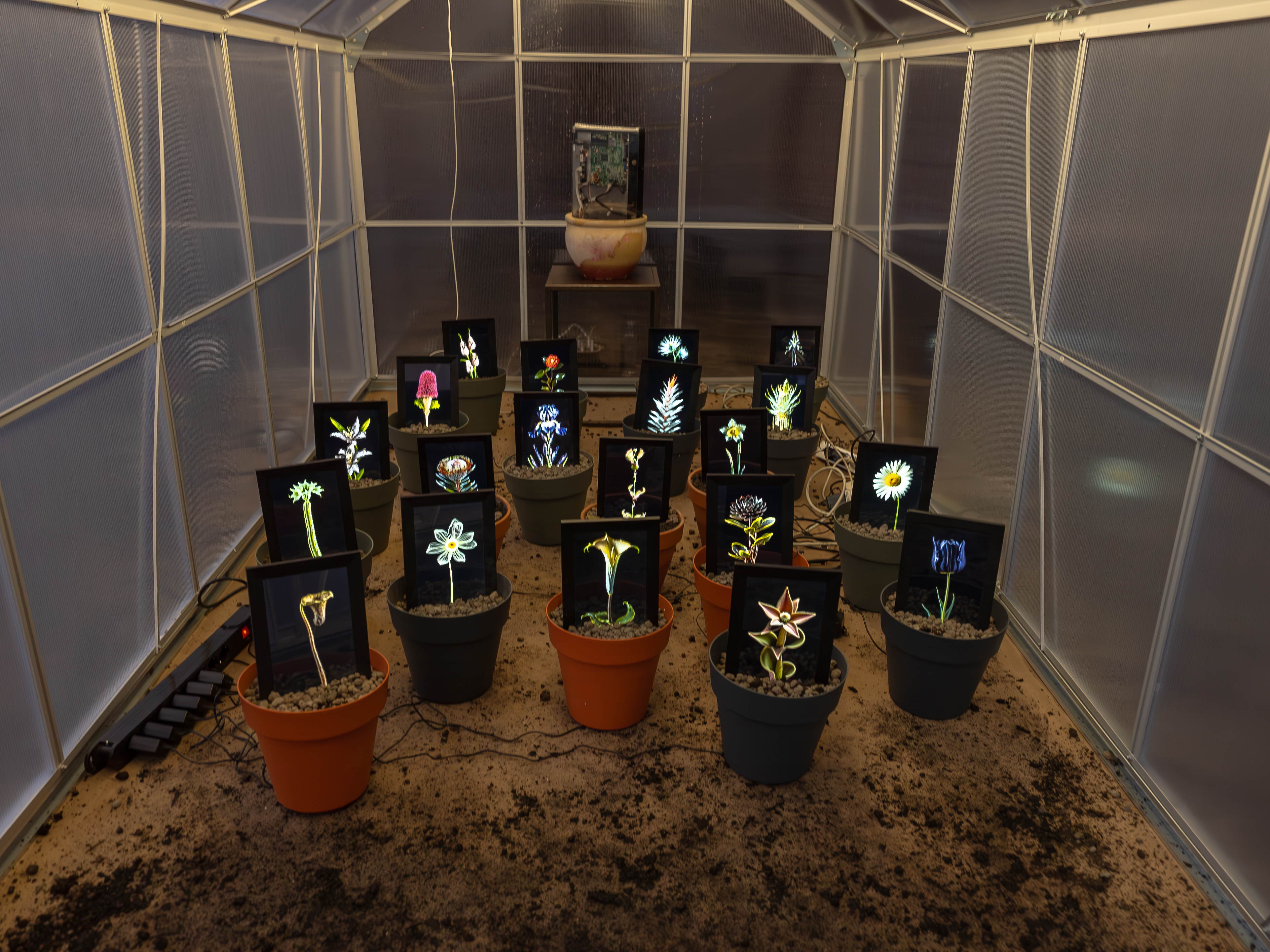 opera Matteo Mandelli